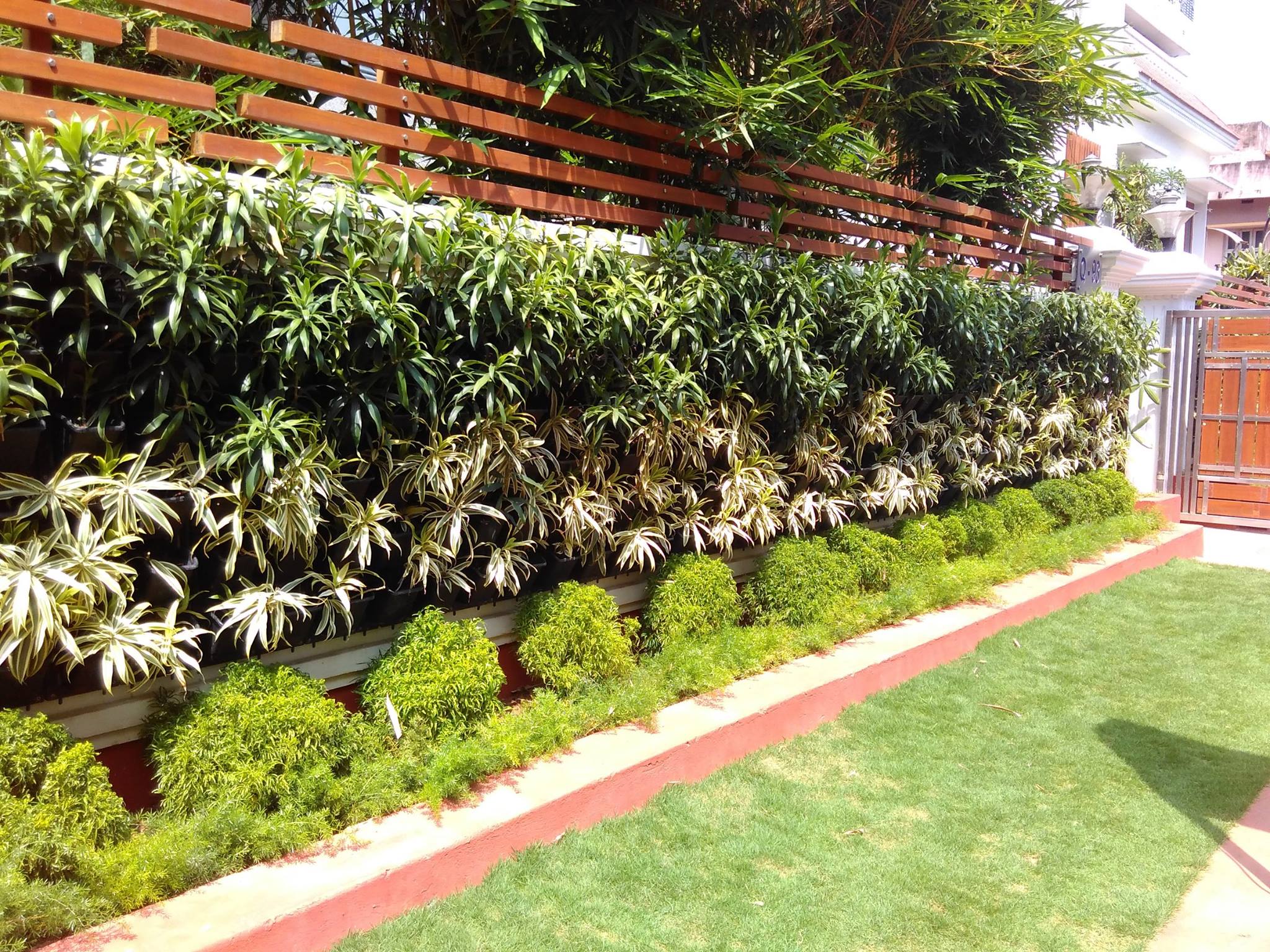 Terrace Garden in Chennai