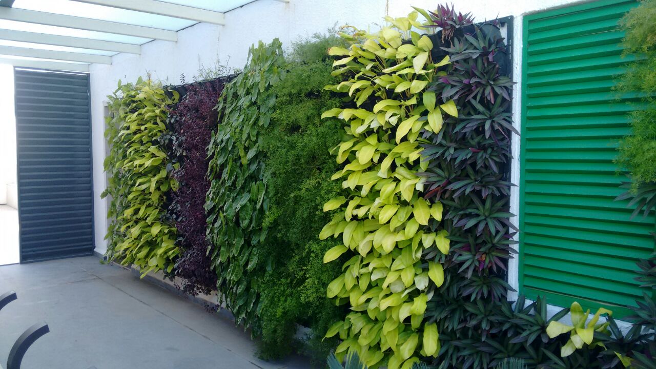 Terrace Garden in Chennai