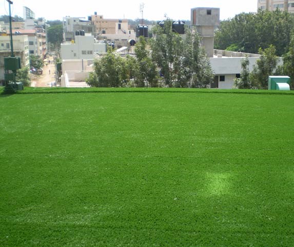 Vertical Garden in Chennai