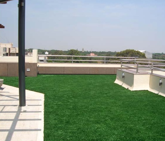Vegetable Garden in Chennai