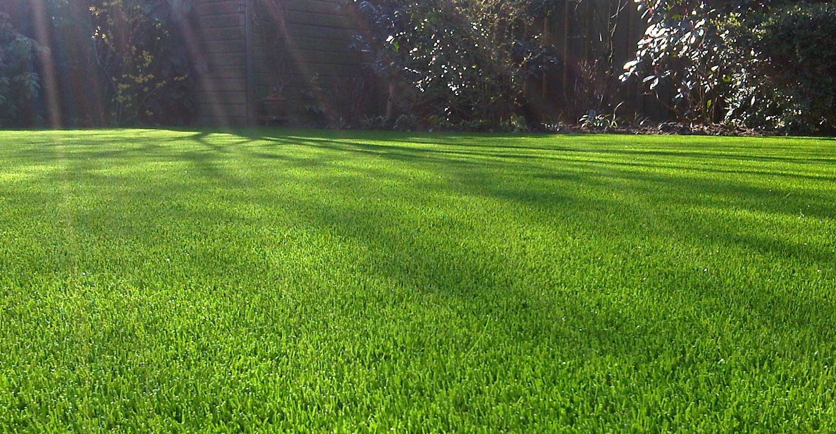 Artificial Grass in Chennai