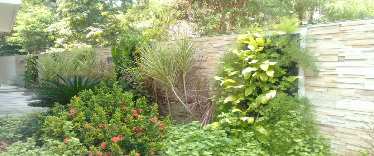 Vertical Garden in Chennai