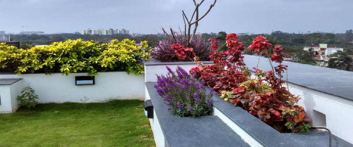 Swimming Pool solutions in Chennai
