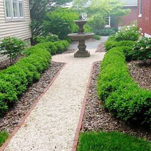 Vegetable Garden in Chennai