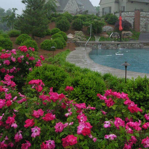 Swimming Pool Service in Chennai