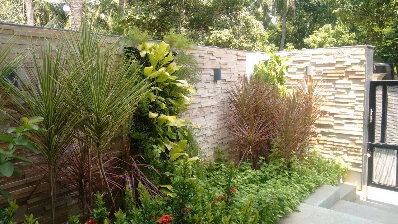 Terrace Garden in Chennai