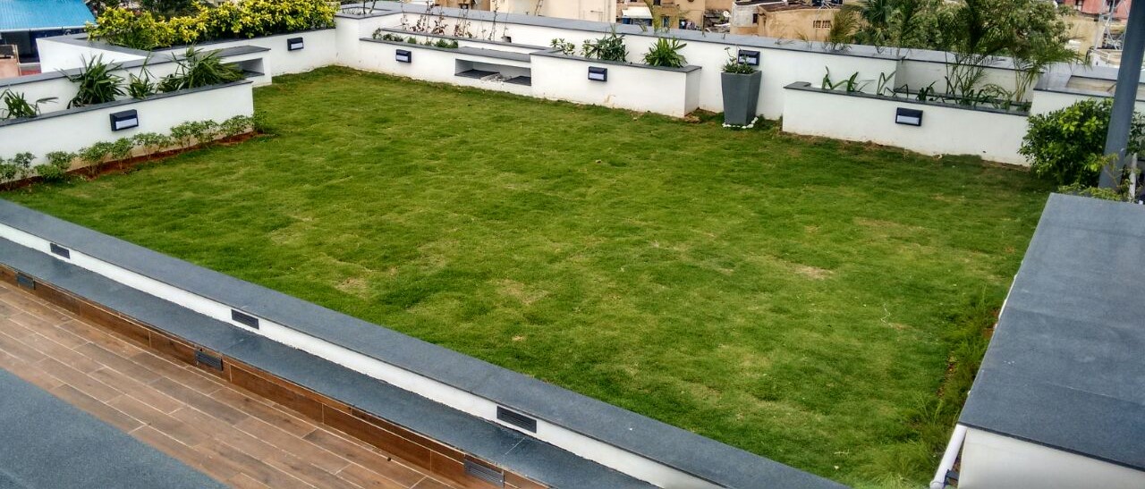 Terrace Garden in Chennai