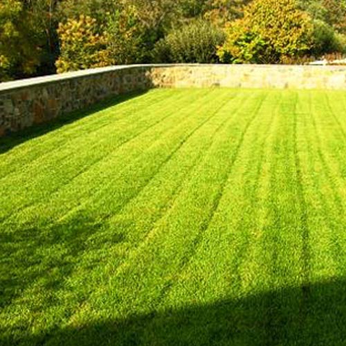 Landscaping Solutions in Chennai