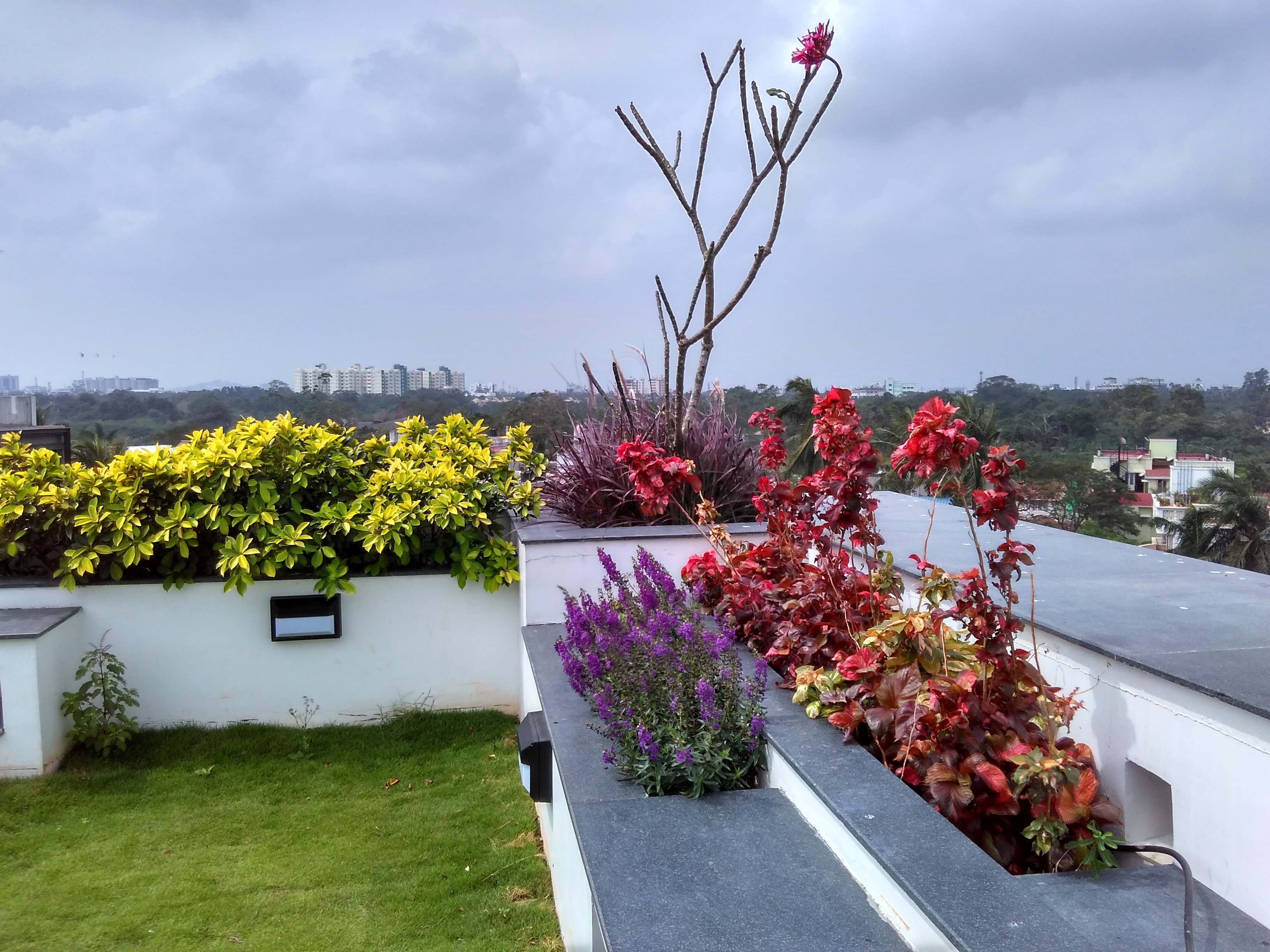 Swimming Pool solutions in Chennai