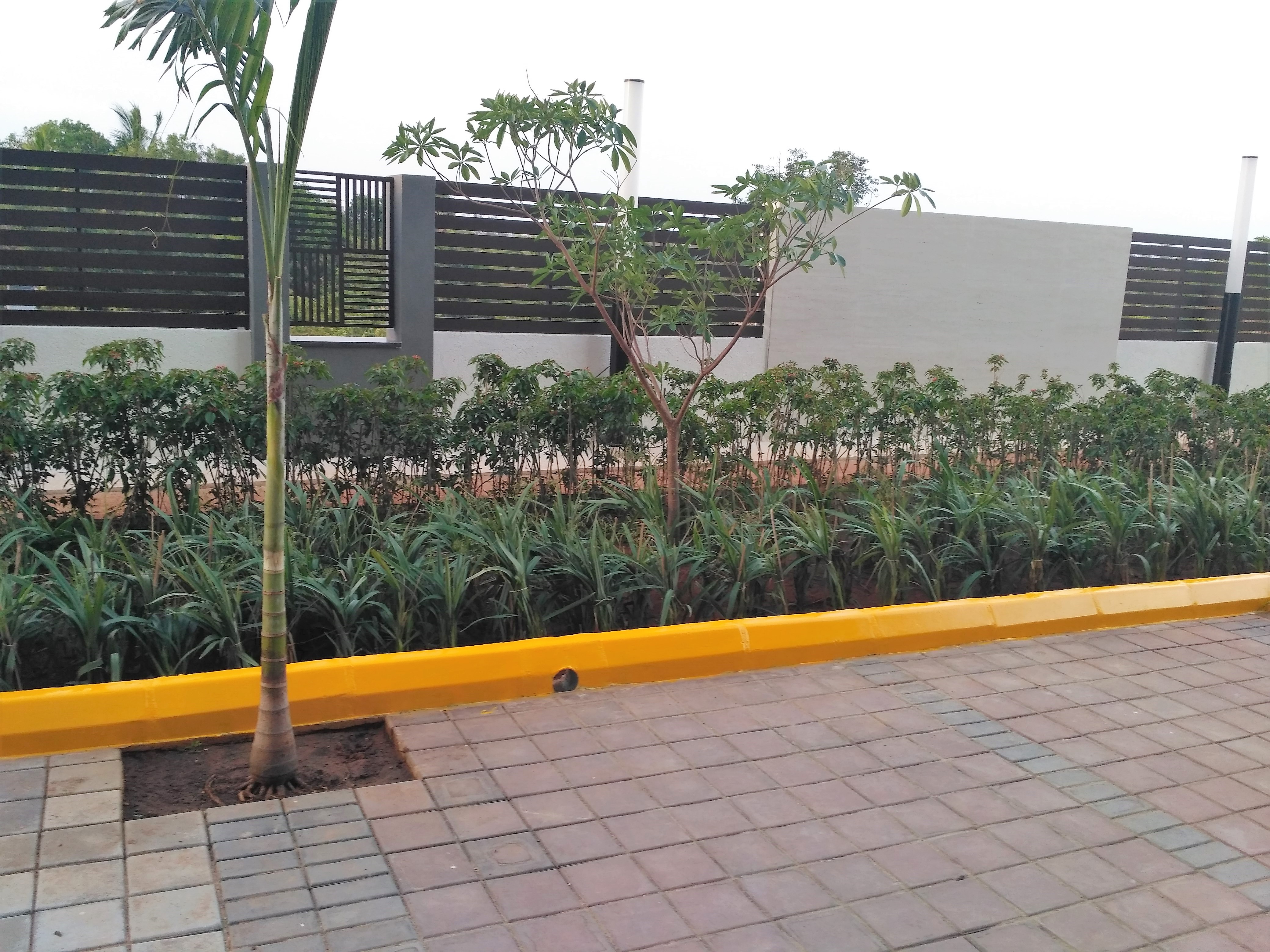 Lattice in Chennai