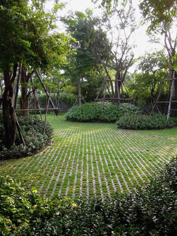 Landscaping Solutions in Chennai