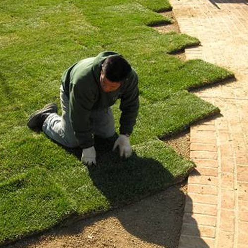 Landscaping Solutions in Chennai