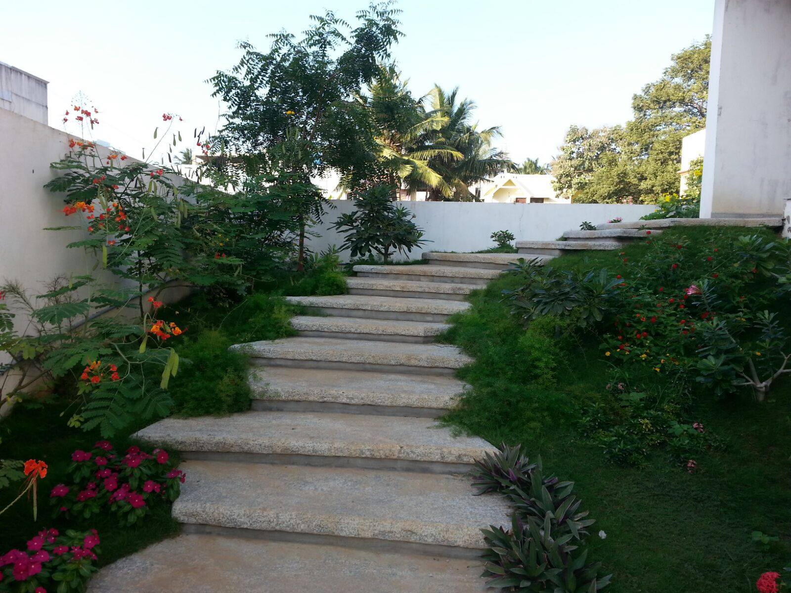 Vertical Garden in Chennai
