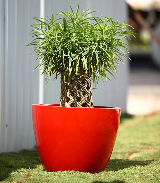 Artificial Grass in Chennai