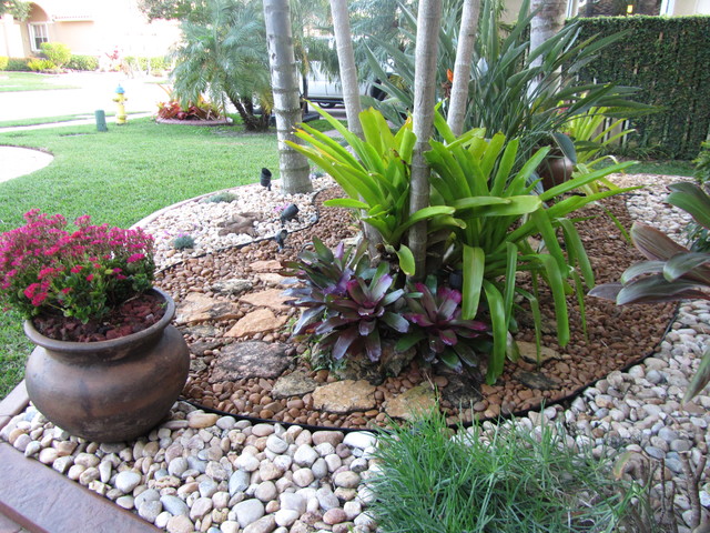 Vegetable Garden in Chennai
