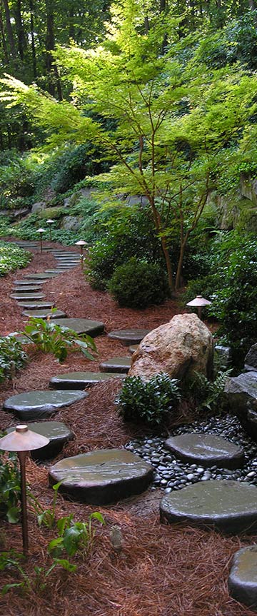Terrace Garden in Chennai