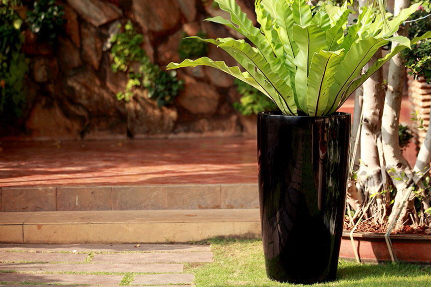 Swimming Pool Accessories in Chennai